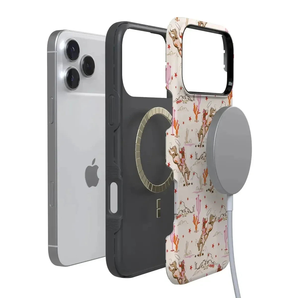 Cowgirl Canyon | FashionPass x Casely Case Phone Case Casetry