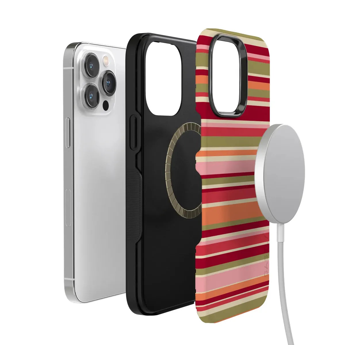 Citrus Stripes | Poolside Print Case