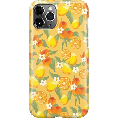 Positano | Dippin' Daisy's Italian Coast Case iPhone Case get.casely Classic iPhone 11 Pro Max